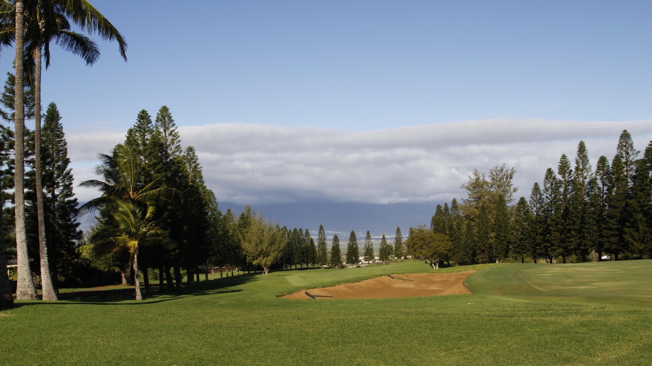 Photo of Others in Wailea