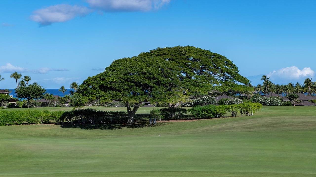 Photo of Others in Kaupulehu