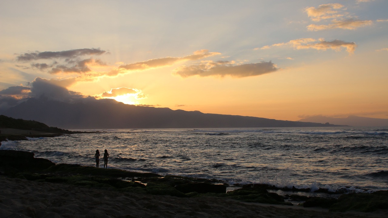 Photo of Others in Haiku