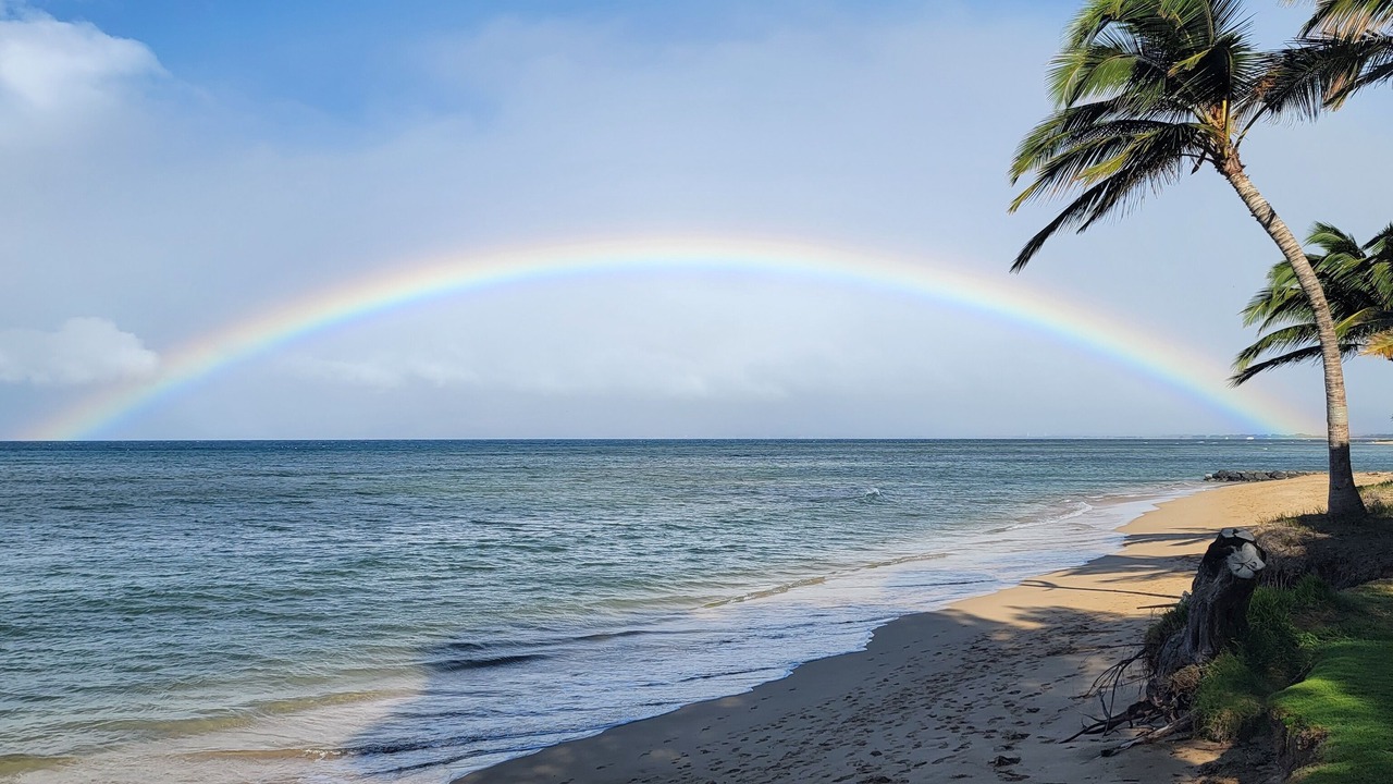 Photo of Others in Kihei