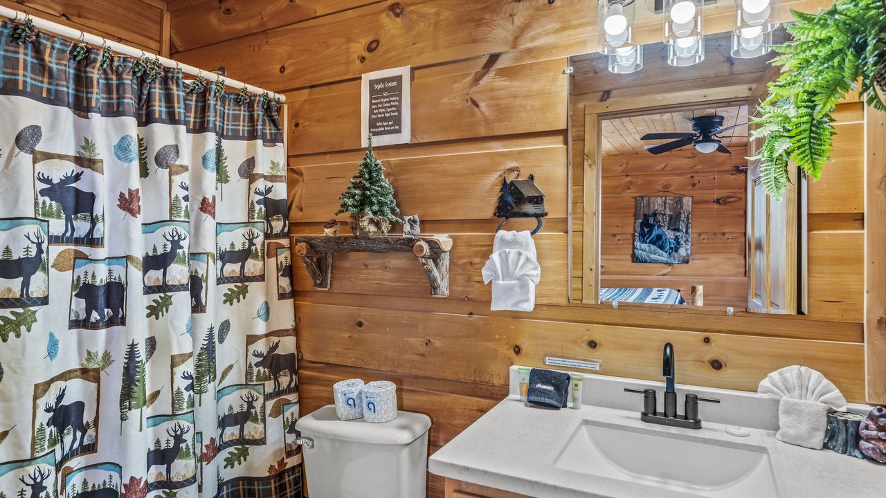 Photo of Bathroom in Gatlinburg