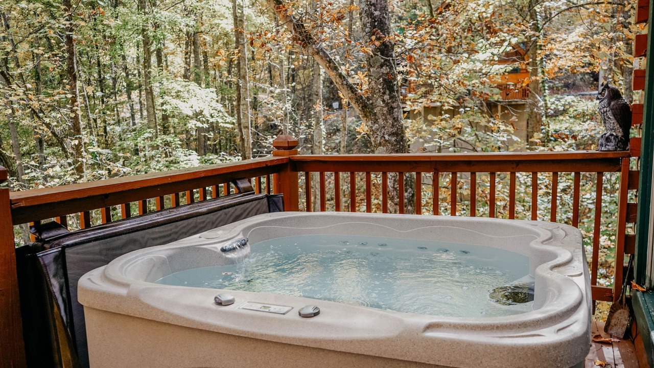 Photo of Outdoor in Sevierville