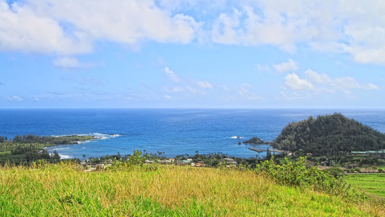 Photo of Others in Hana