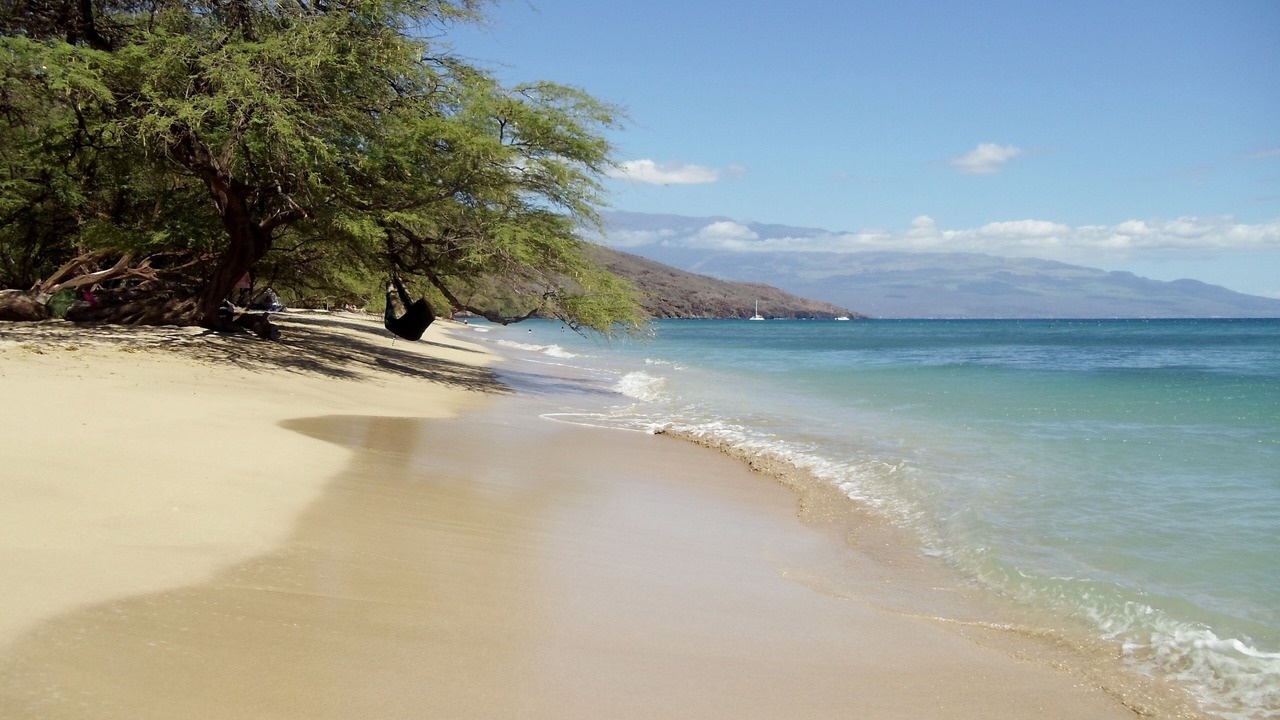 Photo of Others in Kihei
