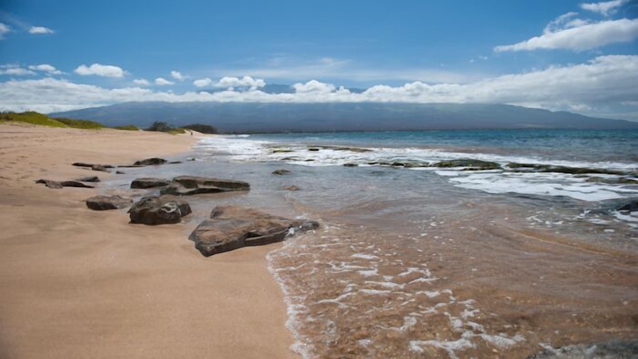 Photo of Others in Maalaea