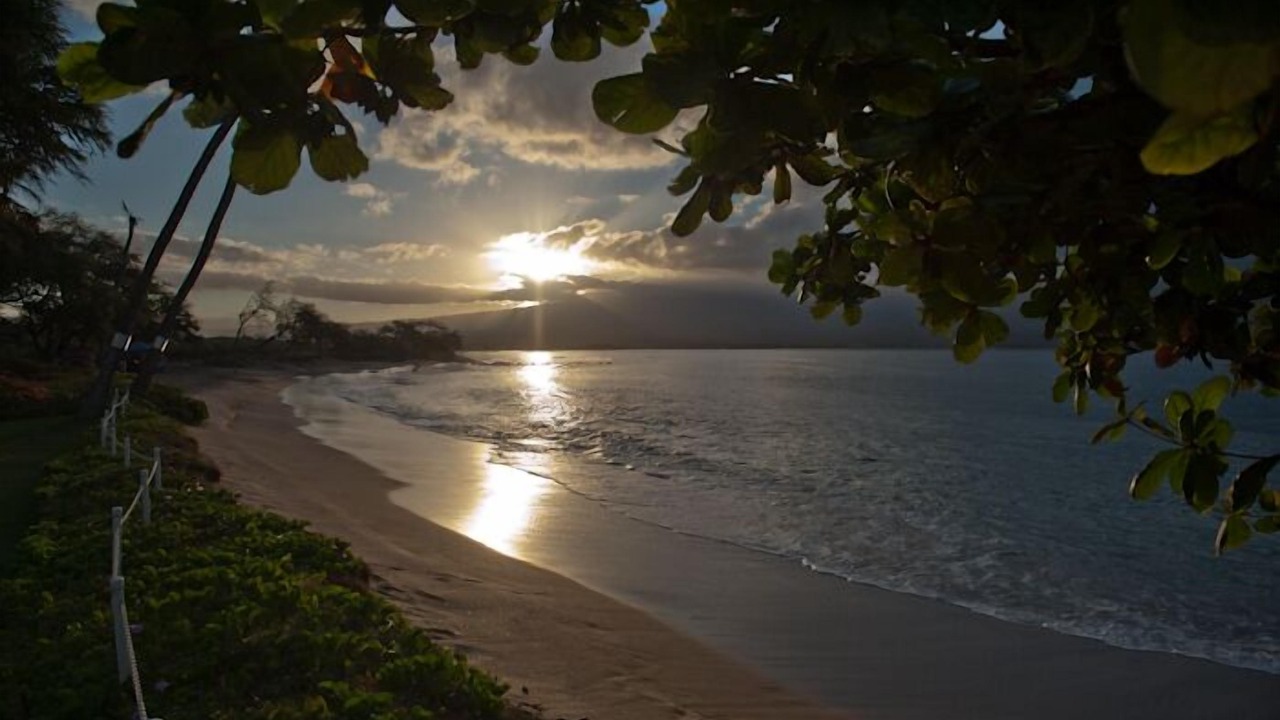 Photo of Others in Maalaea