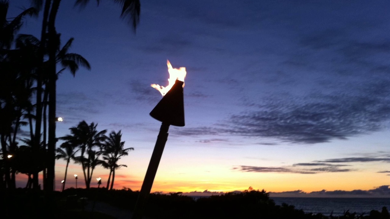 Photo of Others in Waikiki