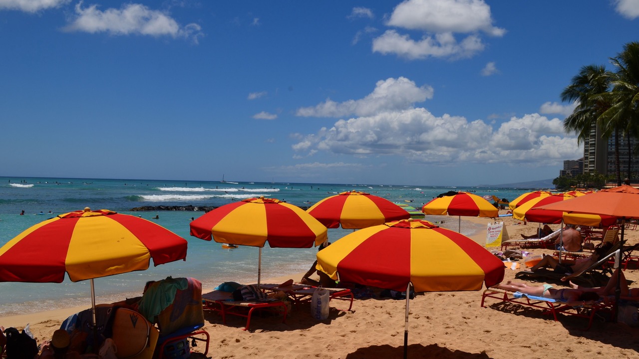 Photo of Others in Waikiki