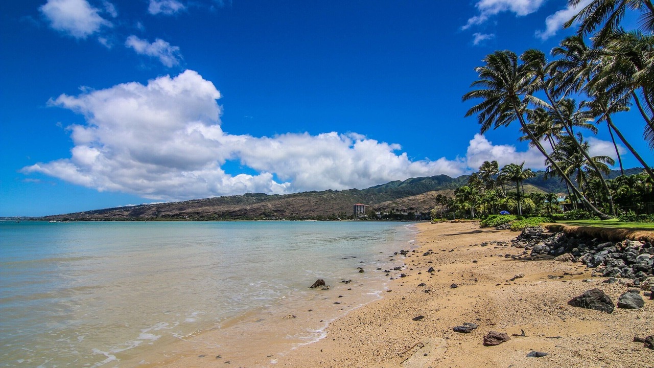 Photo of Others in Portlock