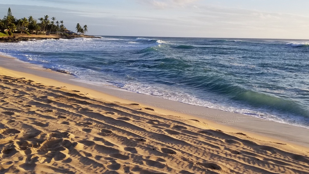 Photo of Others in Makaha