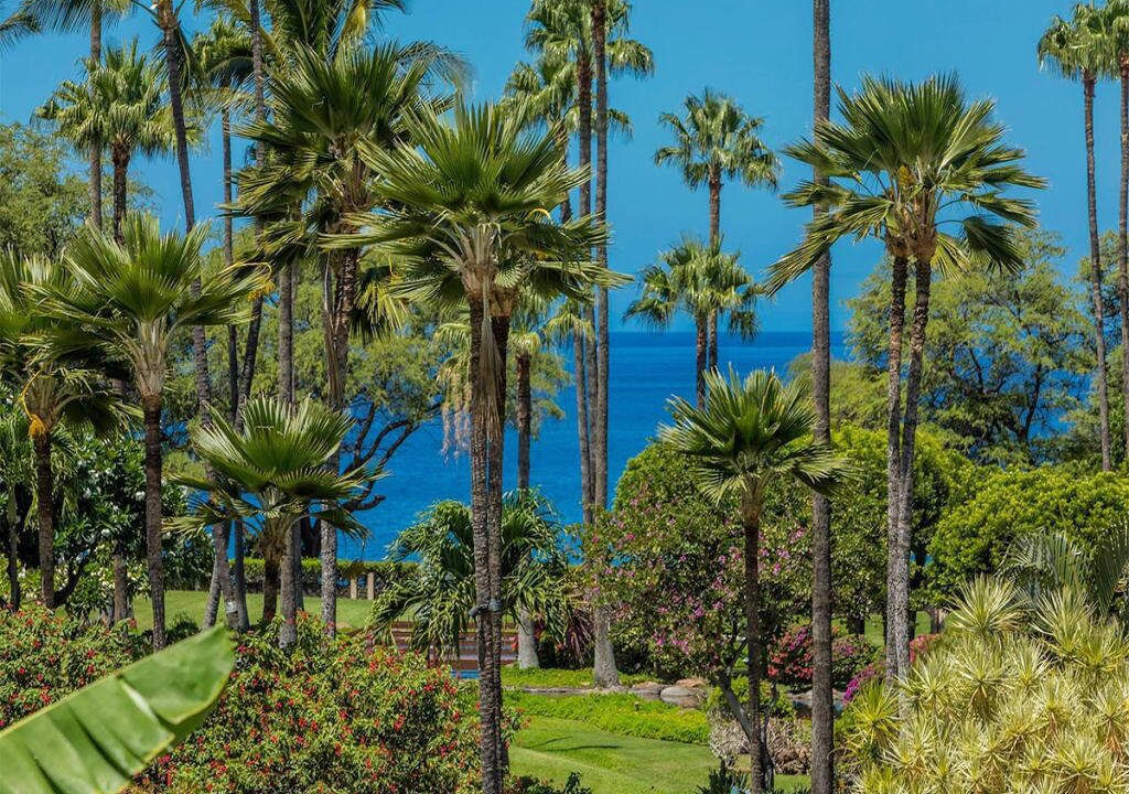 Photo of Outdoor in Kihei