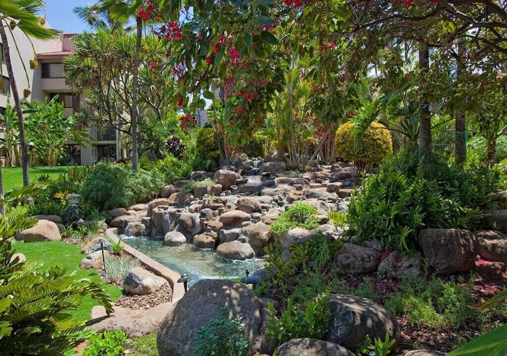 Photo of Outdoor in Kihei