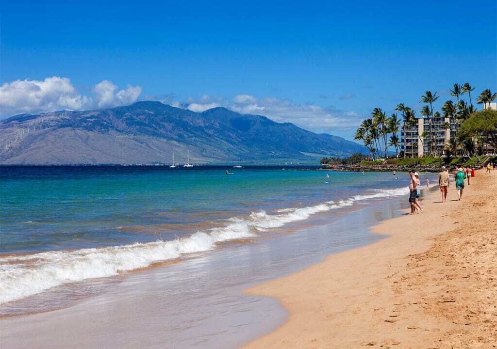 Photo of Others in Kihei