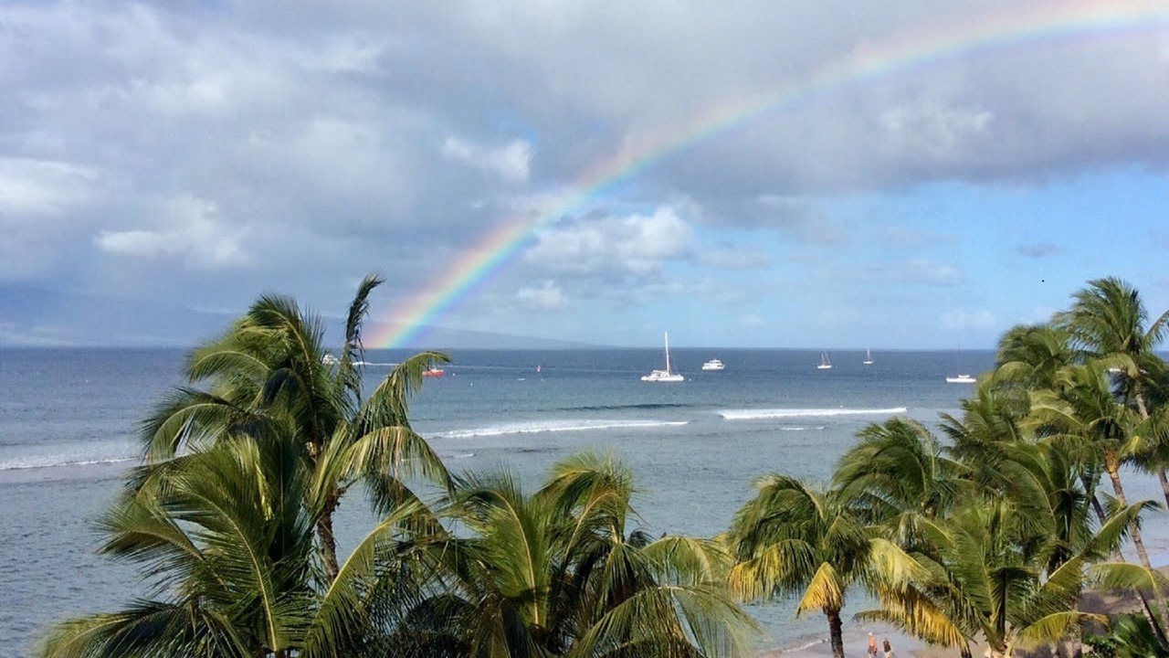 Photo of Others in Historic Lahaina Front Street