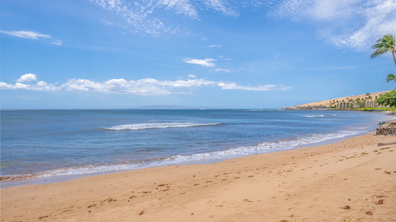 Photo of Others in Maalaea