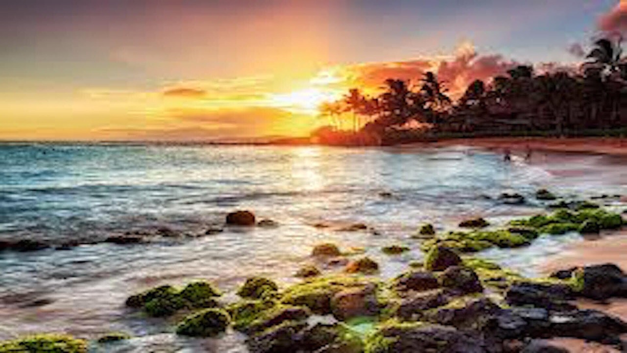 Photo of Others in Poipu