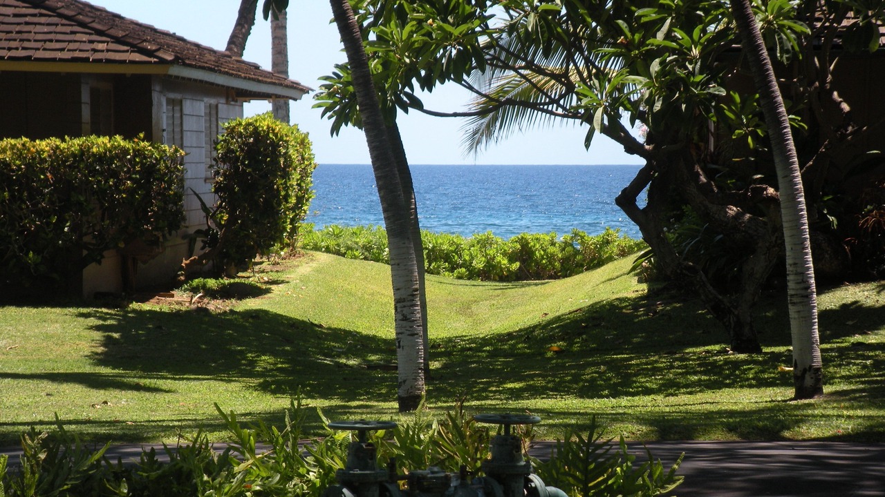 Photo of Outdoor in Downtown Lahaina