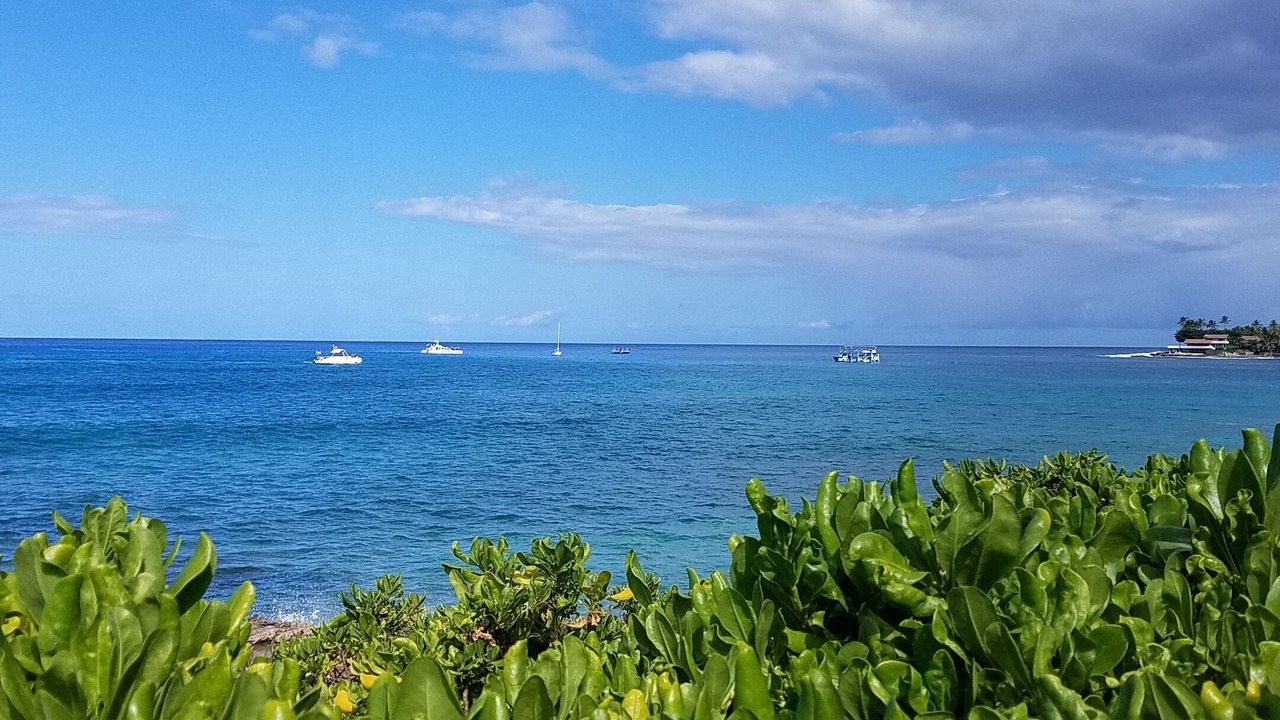 Photo of Others in Makaha