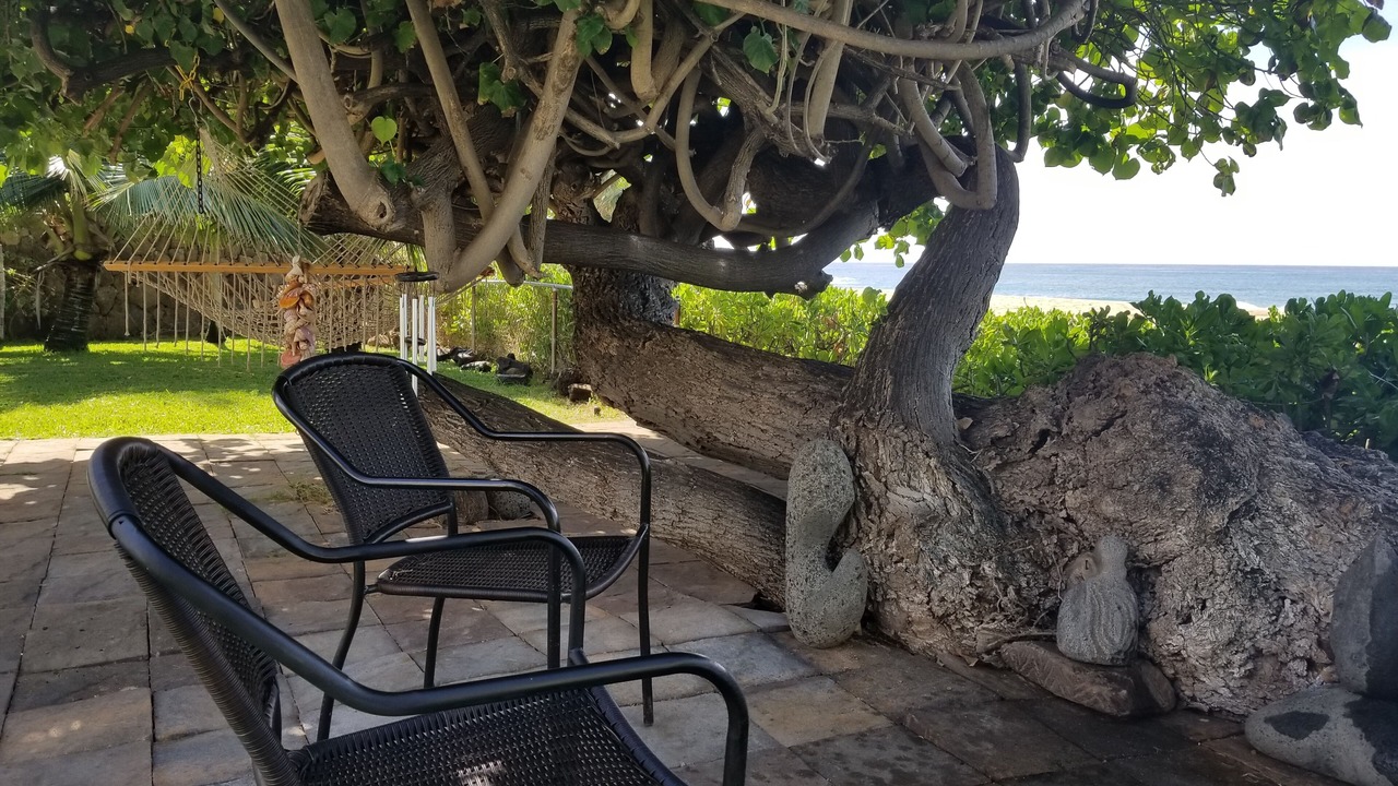 Photo of Others in Makaha