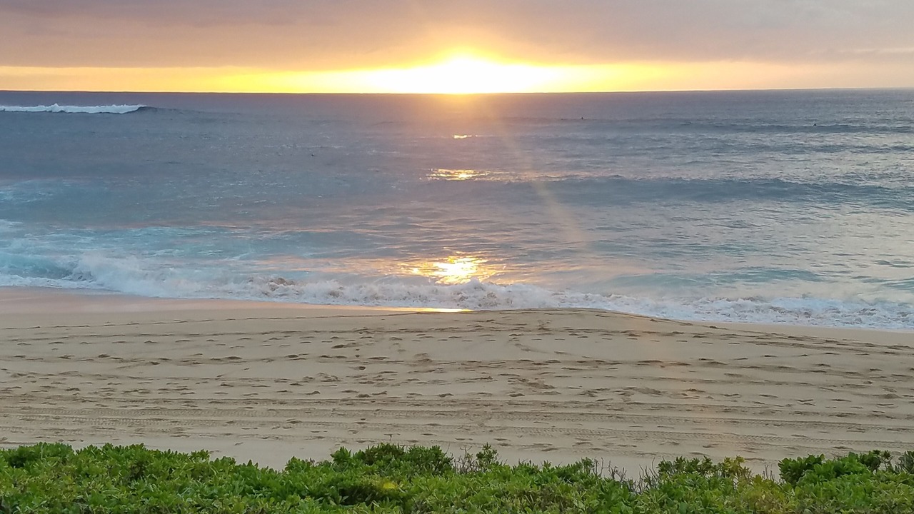 Photo of Others in Makaha