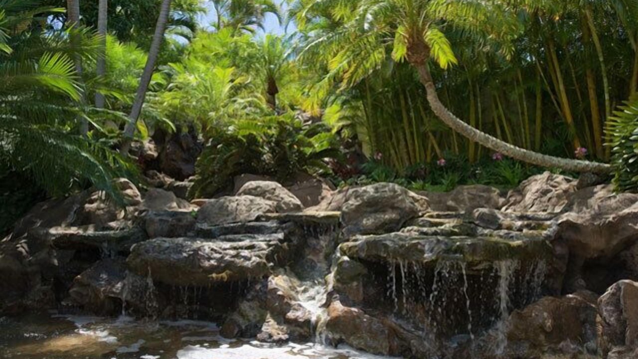 Photo of Outdoor in Kahala