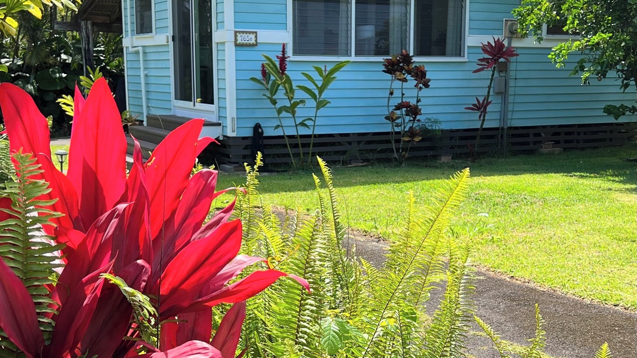 Photo of Outdoor in Haiku