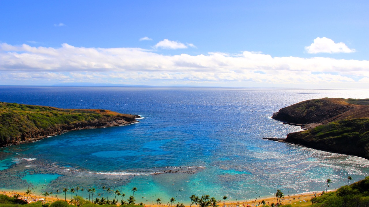 Photo of Others in Portlock