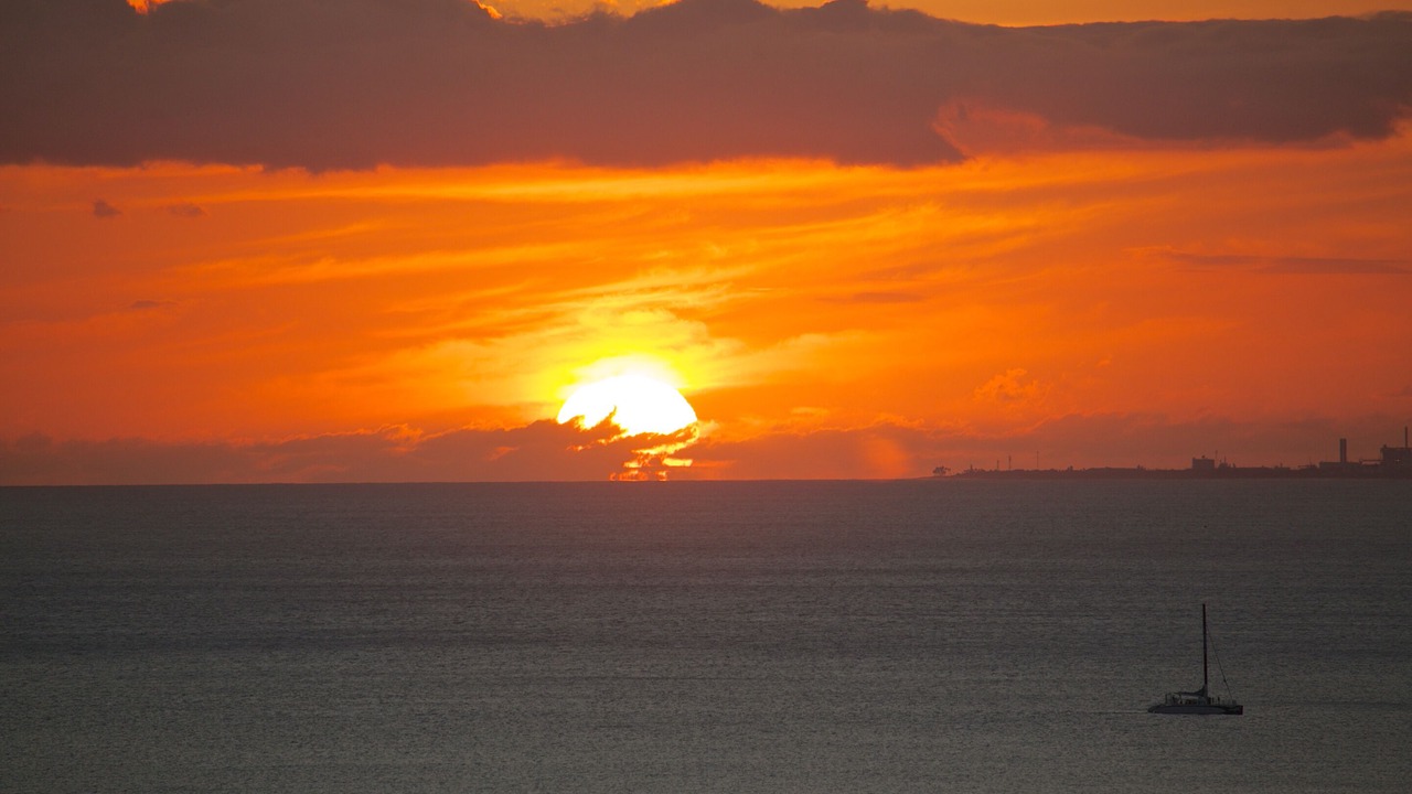 Photo of Others in Waikiki