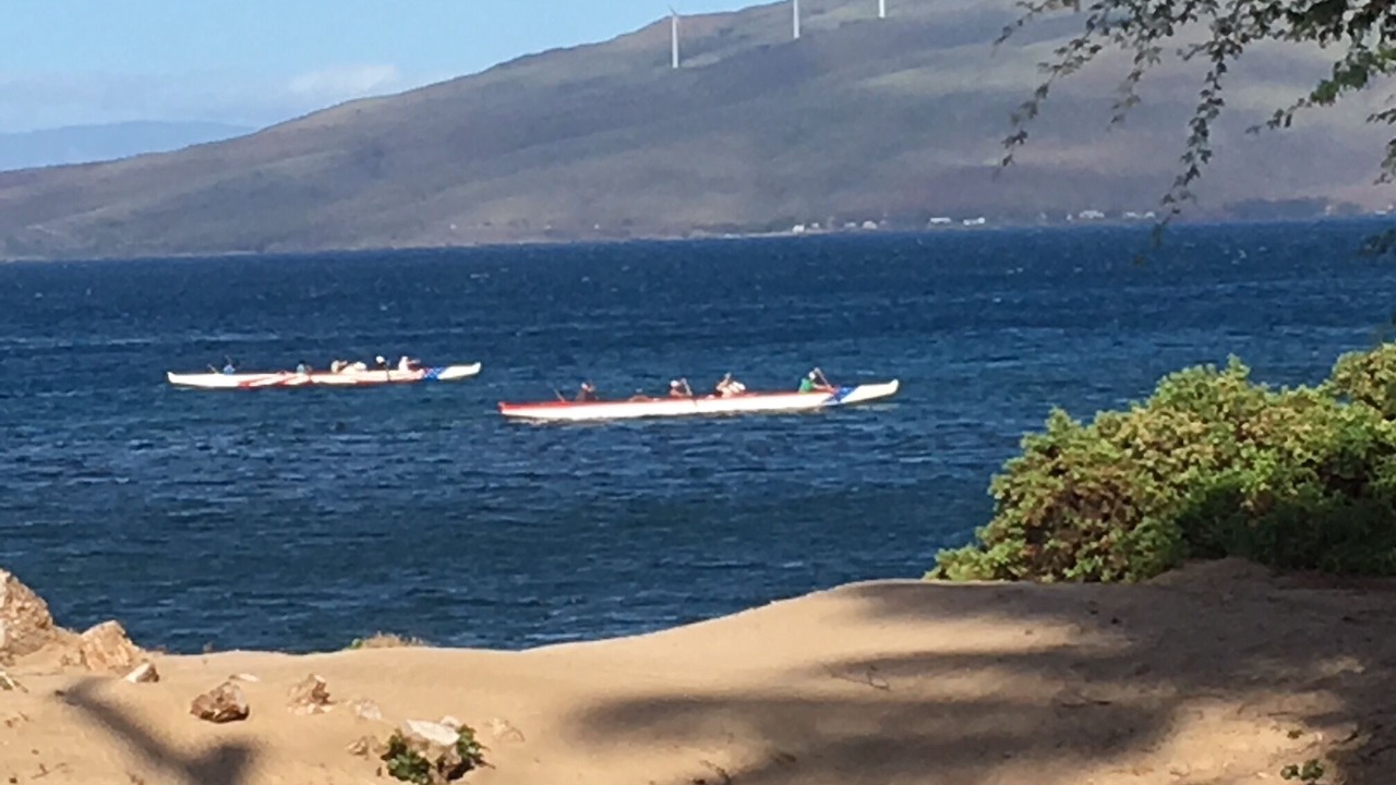 Photo of Others in Kihei