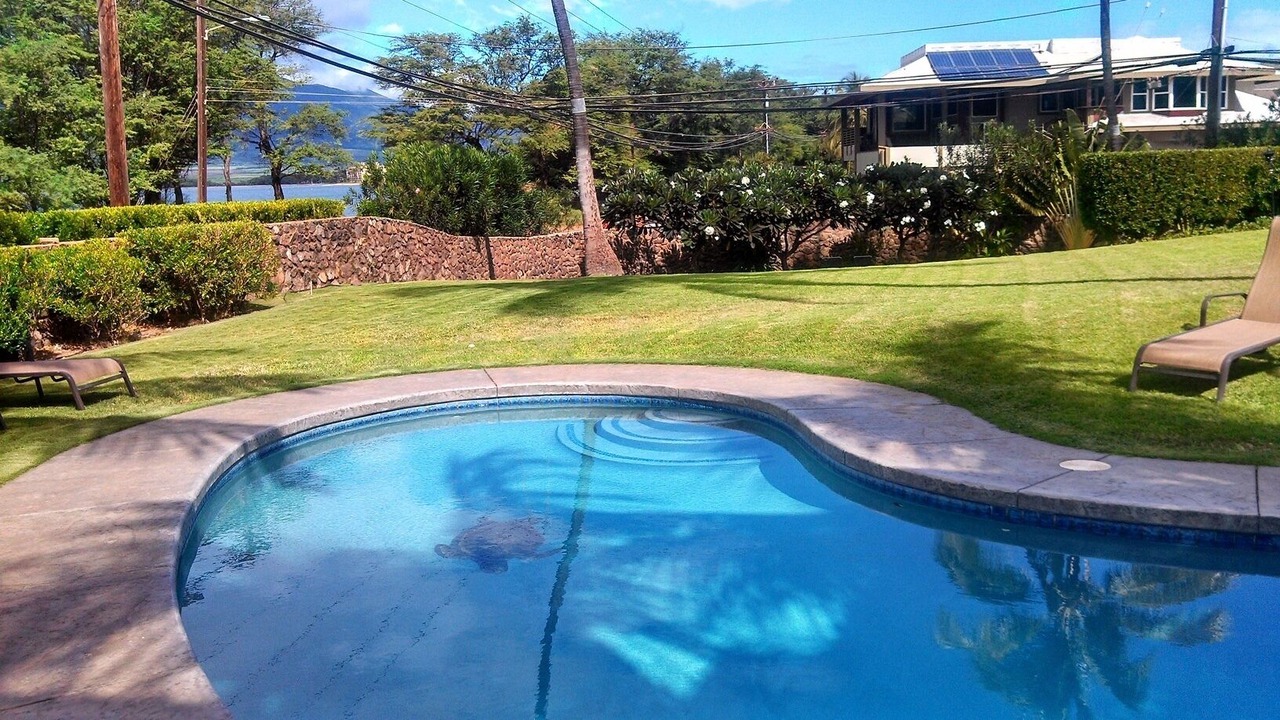 Photo of Others in Kihei