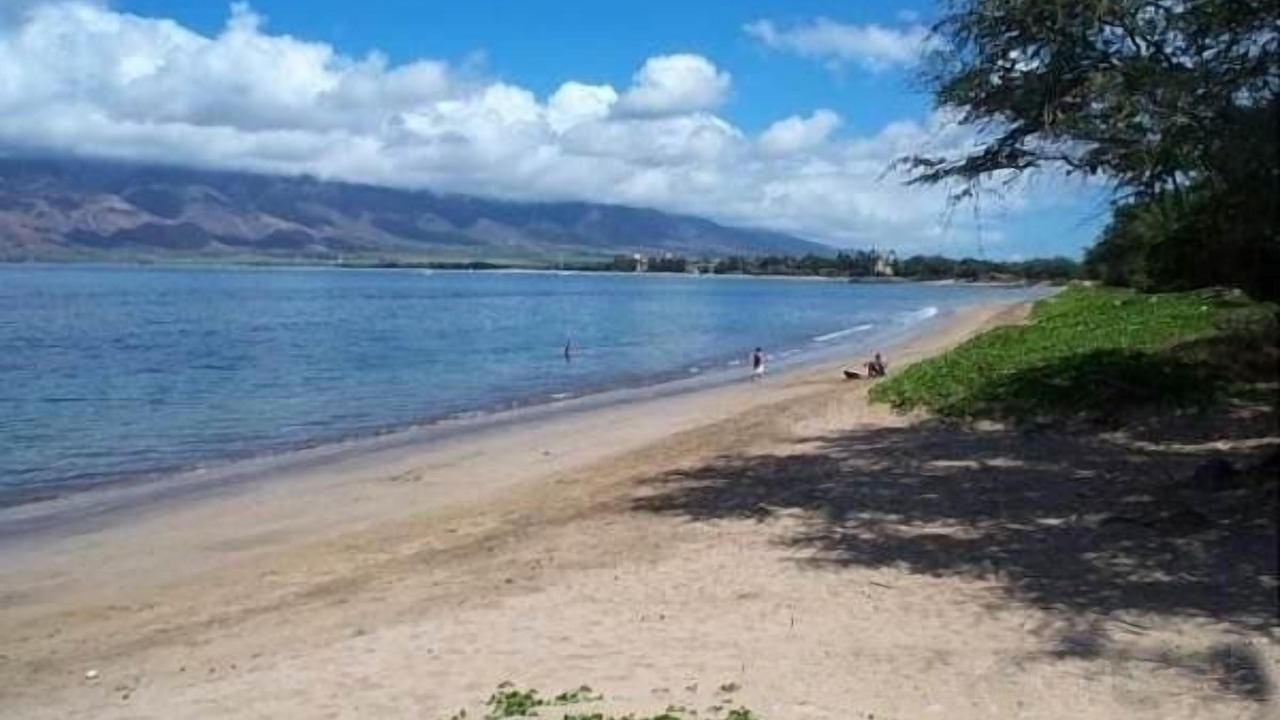 Photo of Others in Kihei