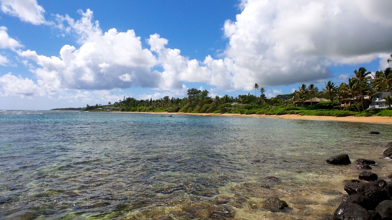 Photo of Others in Anahola