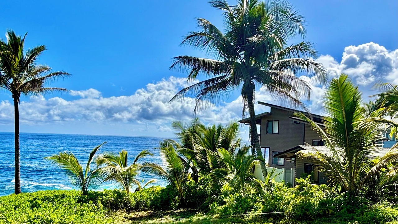 Photo of Others in Kapoho