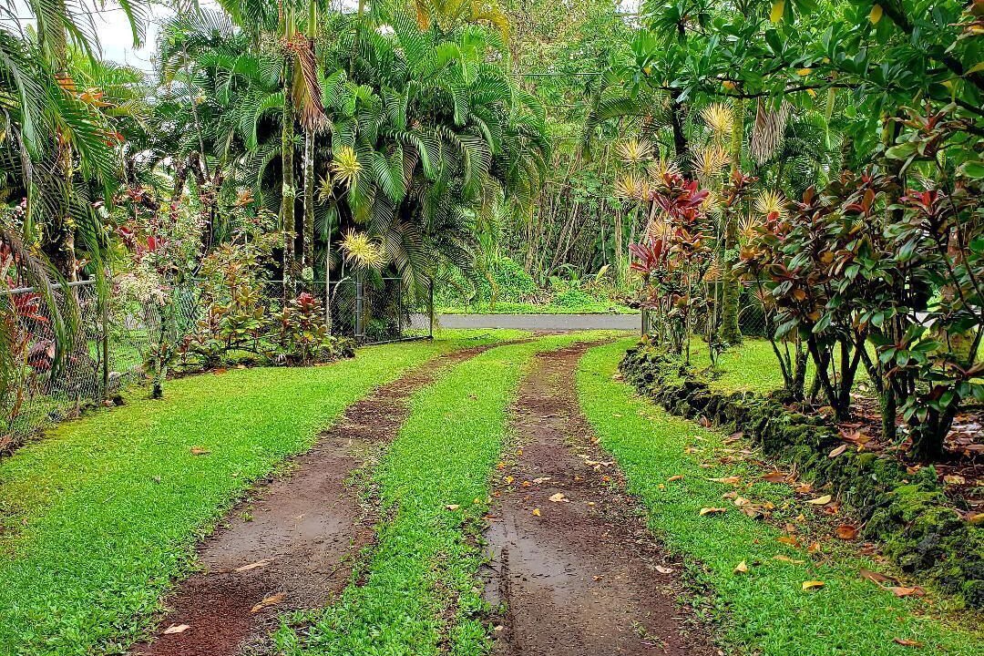 Photo of Others in Kapoho