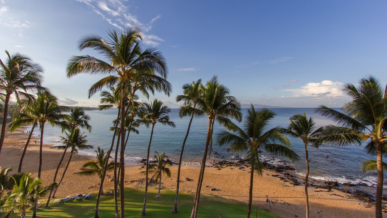 Photo of Others in Kihei