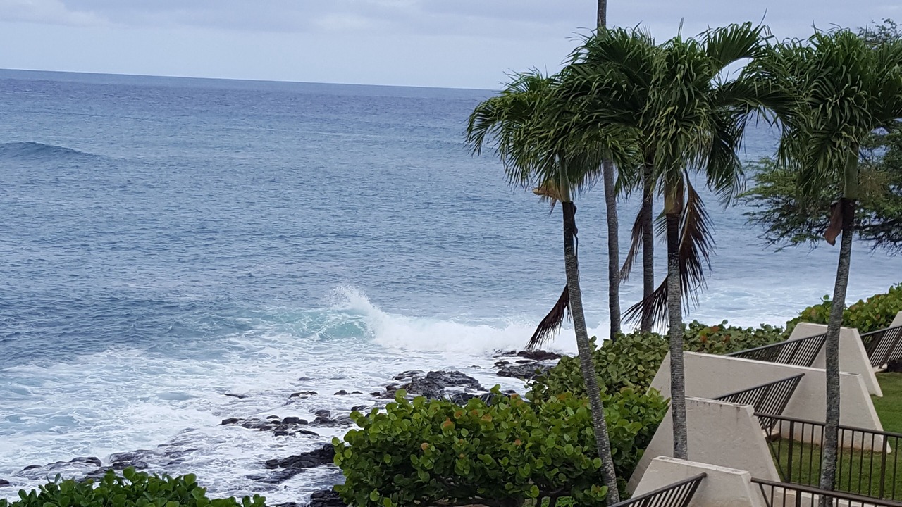 Photo of Others in Napili
