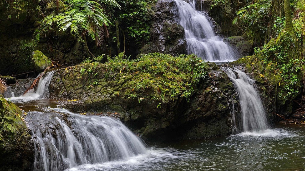 Photo of Outdoor in Keaau