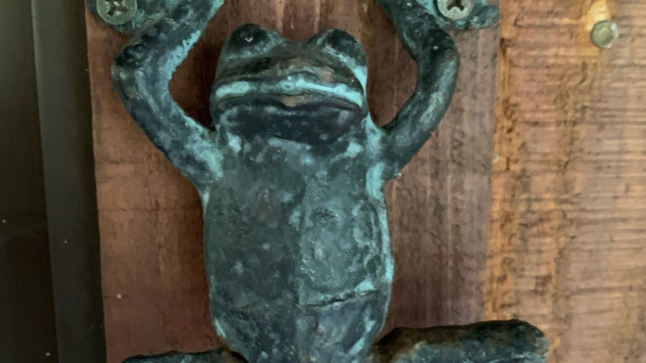 Photo of Others in Kailua-Kona