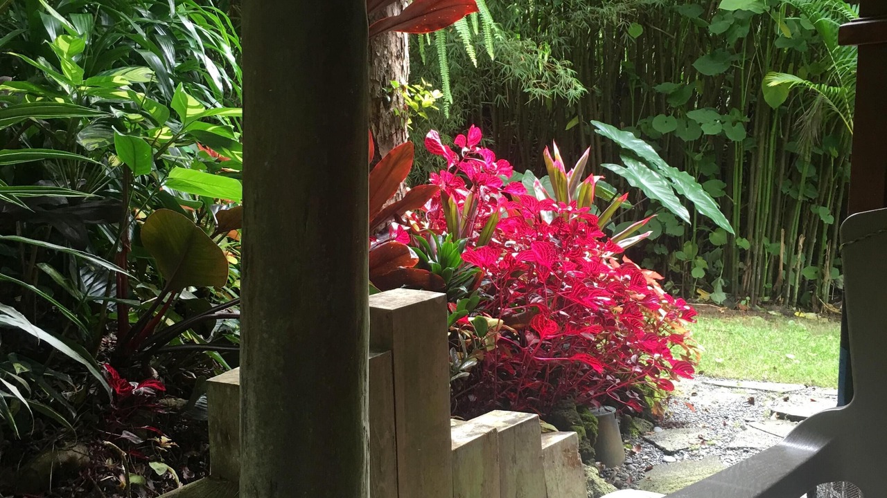 Photo of Patio Balcony in Kailua-Kona