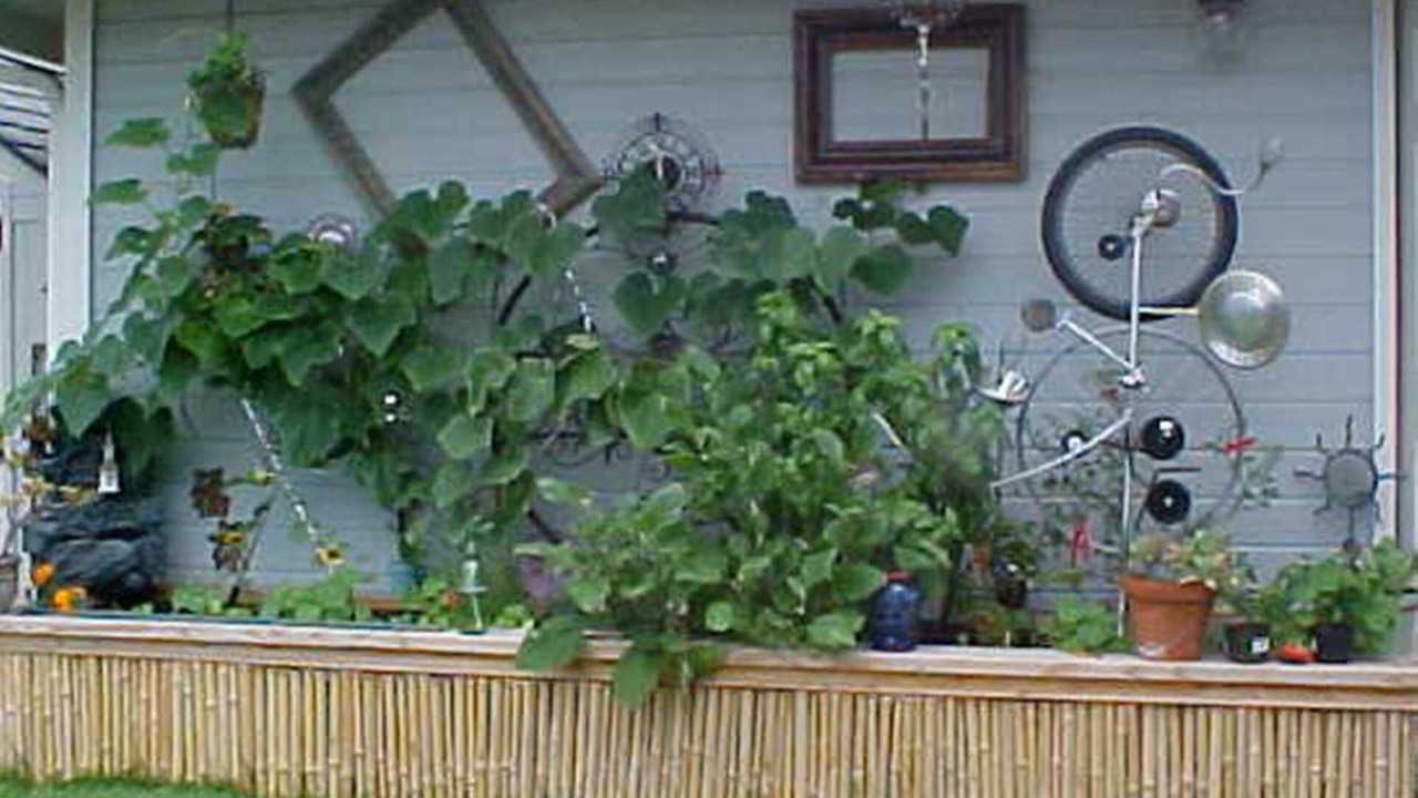 Photo of Outdoor in Kailua-Kona