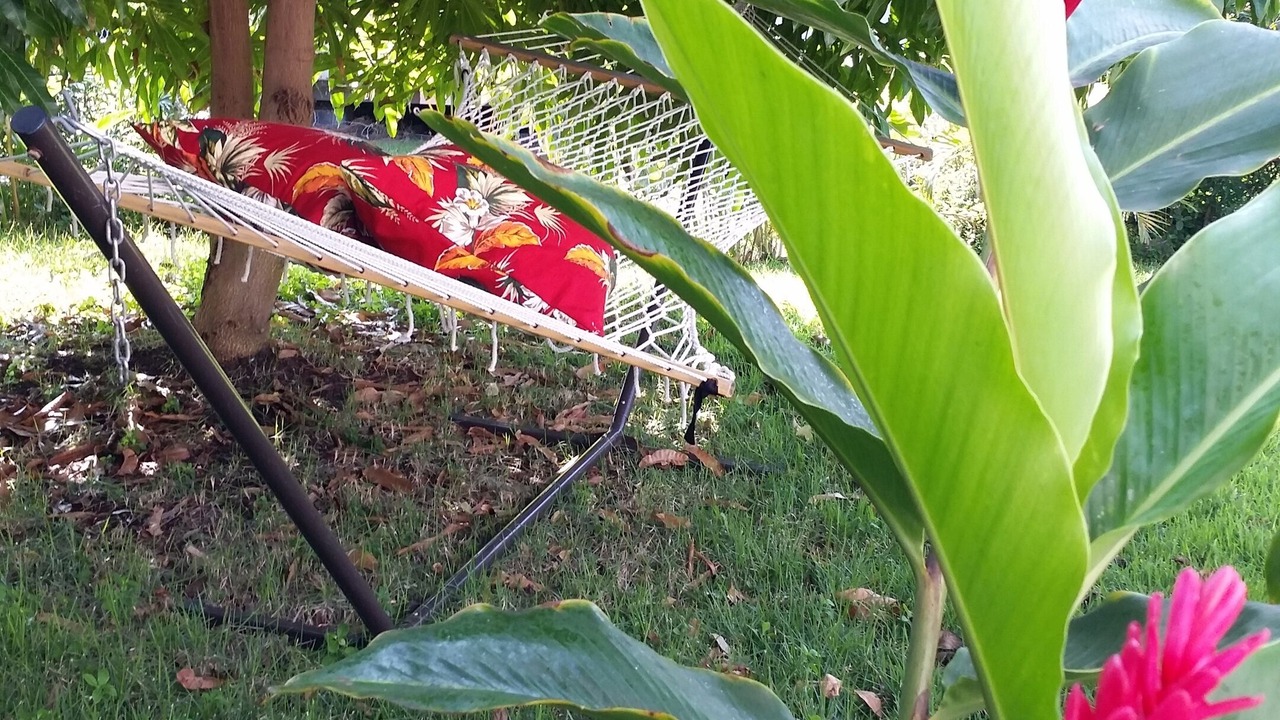 Photo of Others in Kailua-Kona