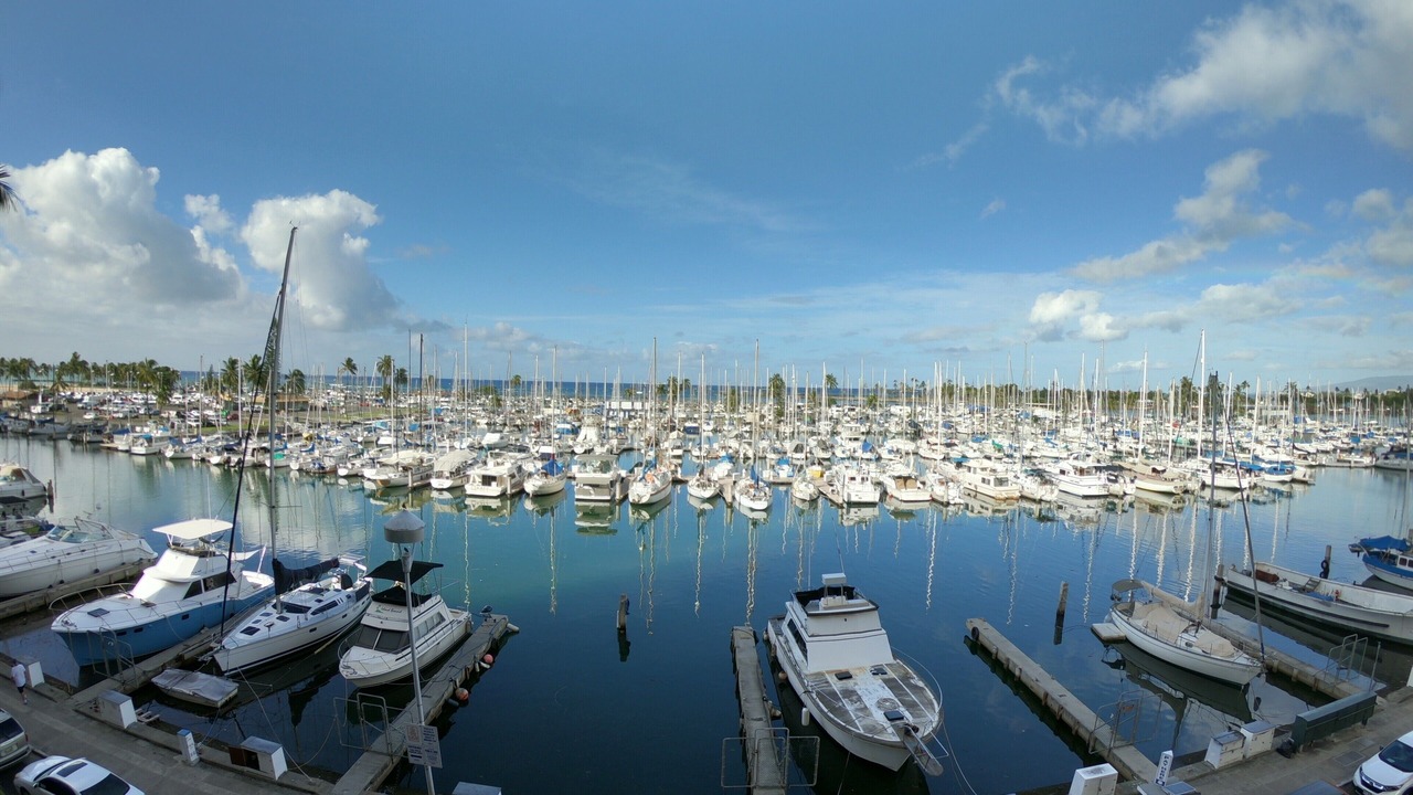 Photo of Others in Waikiki