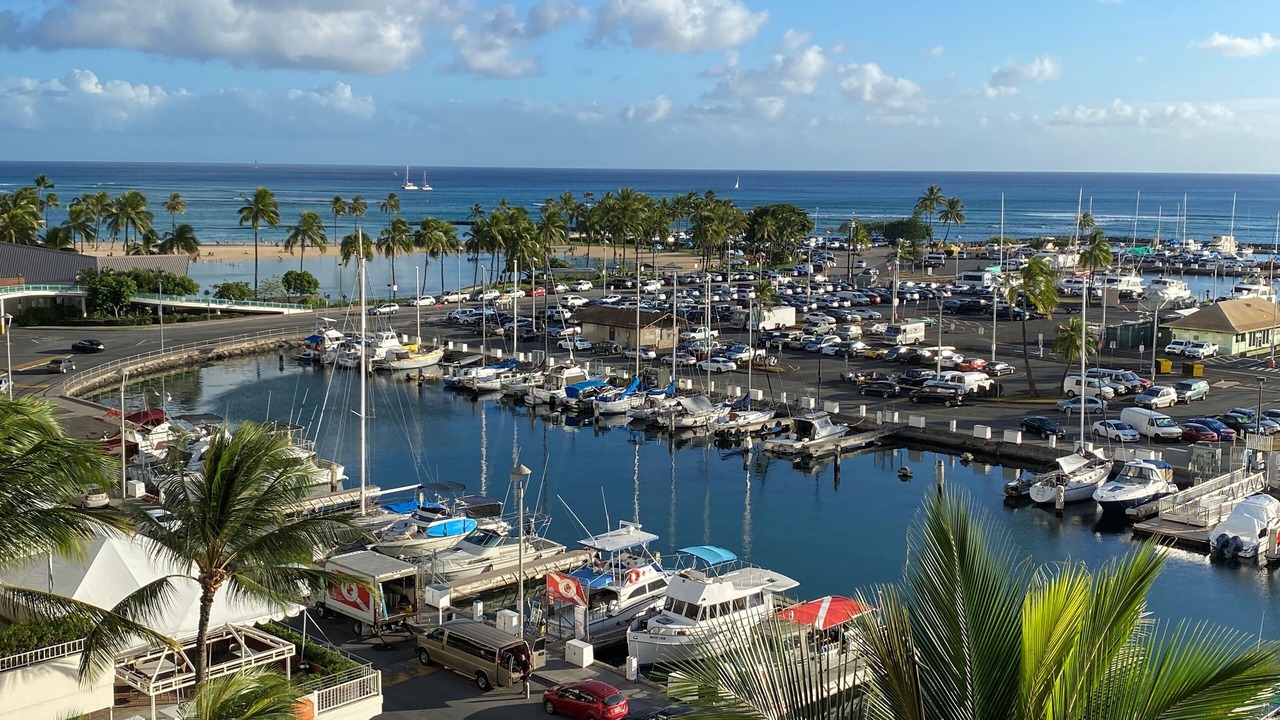 Photo of Others in Waikiki