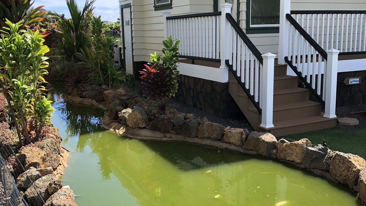 Photo of Outdoor in Poipu