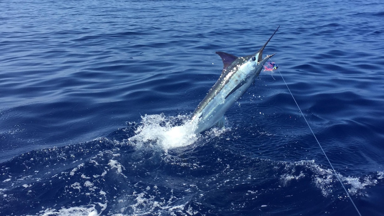 Photo of Others in Waikoloa