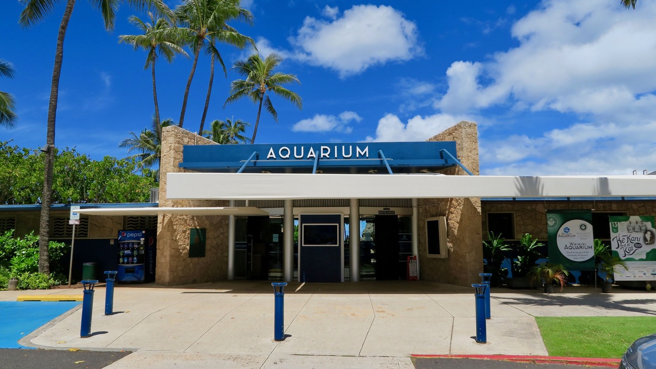 Photo of Outdoor in Waikiki