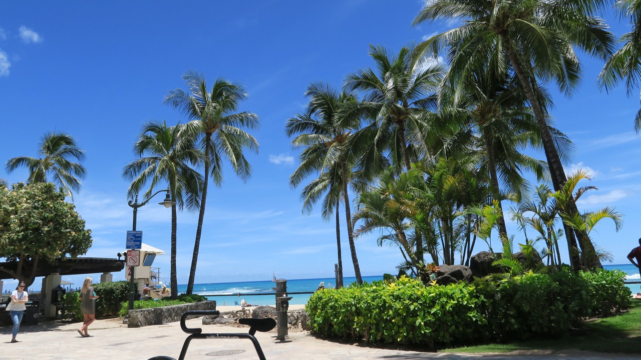 Photo of Others in Waikiki