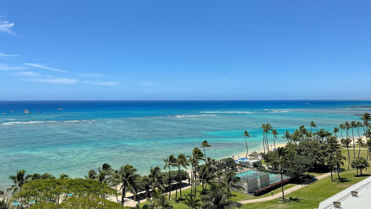 Photo of Others in Waikiki