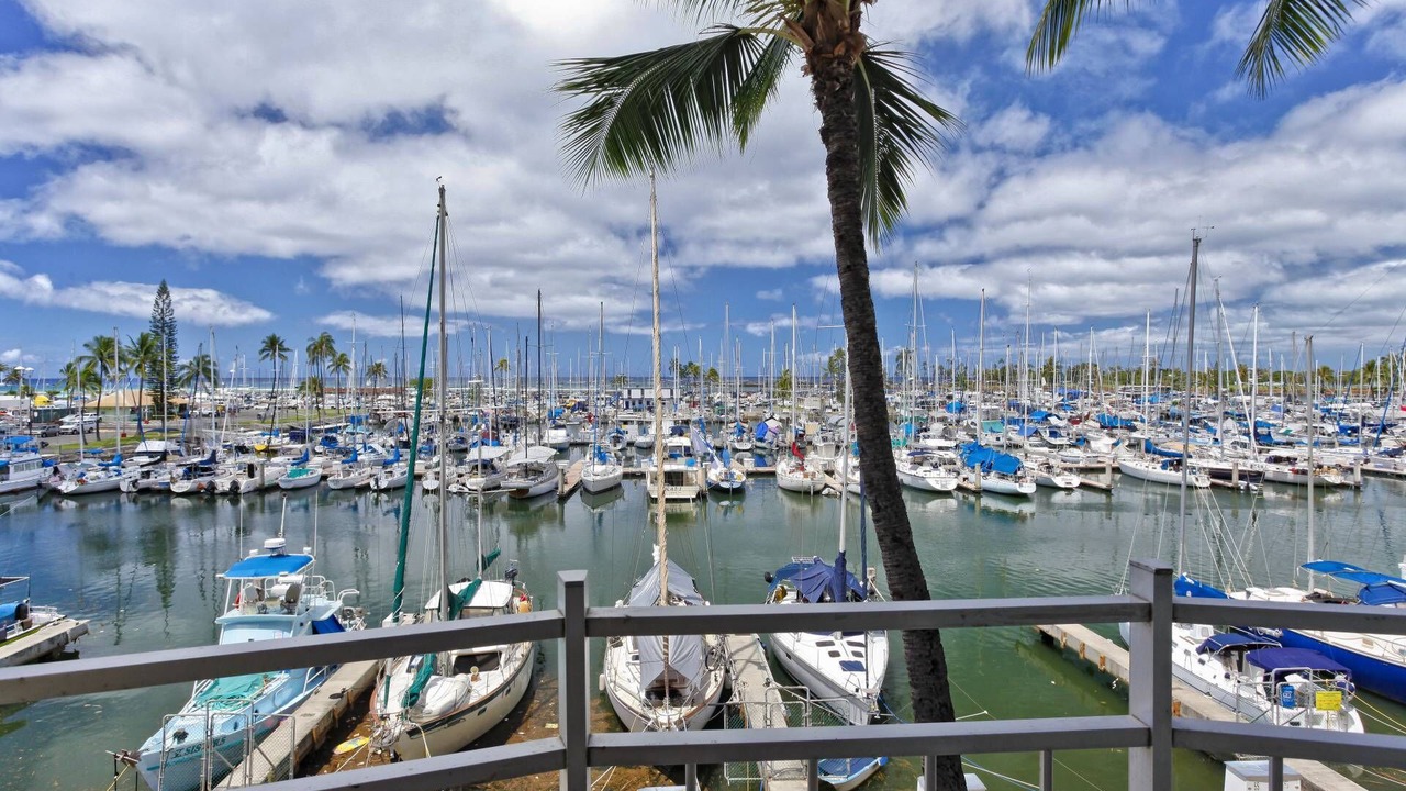 Photo of Others in Waikiki