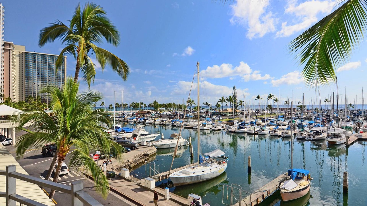 Photo of Others in Waikiki